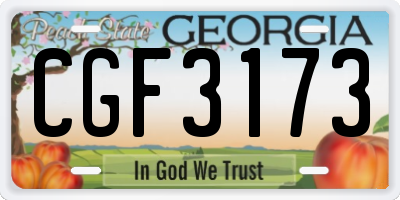GA license plate CGF3173