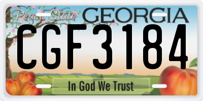 GA license plate CGF3184