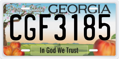 GA license plate CGF3185