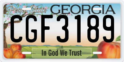 GA license plate CGF3189