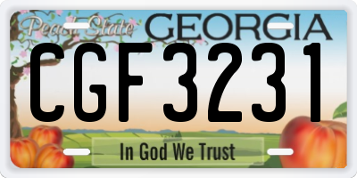 GA license plate CGF3231