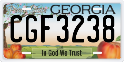 GA license plate CGF3238
