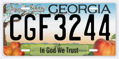 GA license plate CGF3244