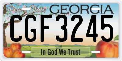 GA license plate CGF3245