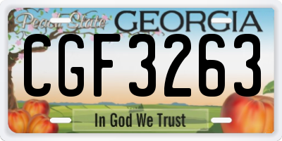 GA license plate CGF3263