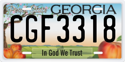 GA license plate CGF3318