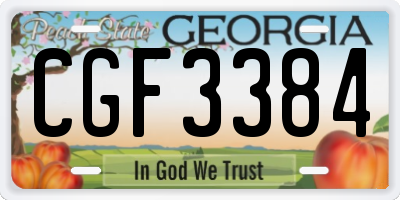 GA license plate CGF3384