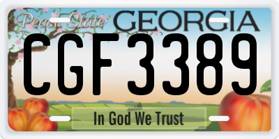 GA license plate CGF3389