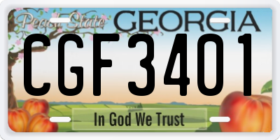 GA license plate CGF3401