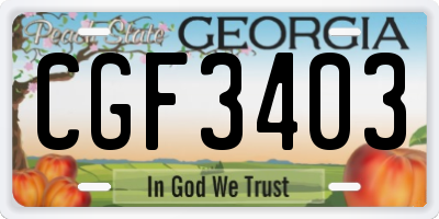 GA license plate CGF3403
