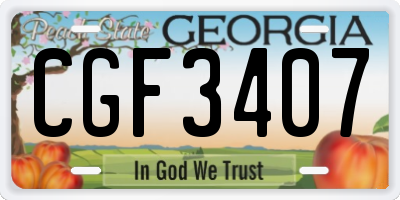 GA license plate CGF3407