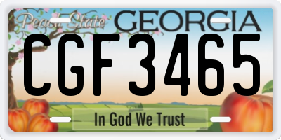 GA license plate CGF3465