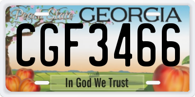 GA license plate CGF3466