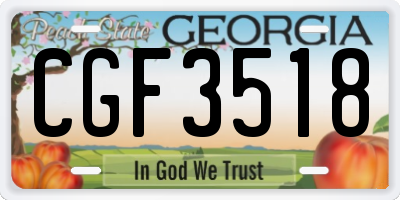 GA license plate CGF3518