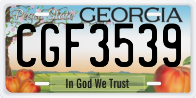 GA license plate CGF3539