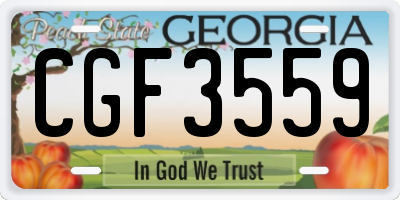 GA license plate CGF3559