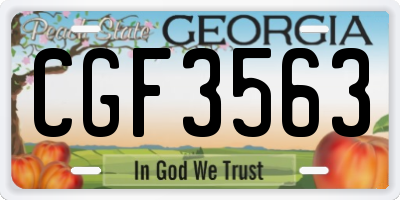GA license plate CGF3563