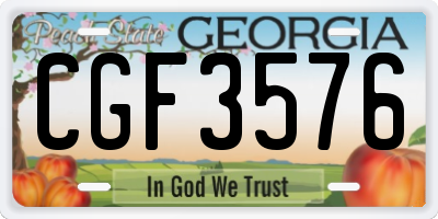 GA license plate CGF3576