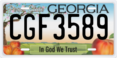 GA license plate CGF3589