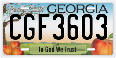 GA license plate CGF3603