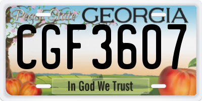 GA license plate CGF3607