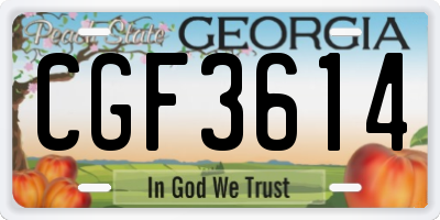 GA license plate CGF3614
