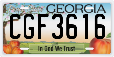 GA license plate CGF3616