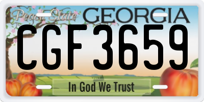 GA license plate CGF3659