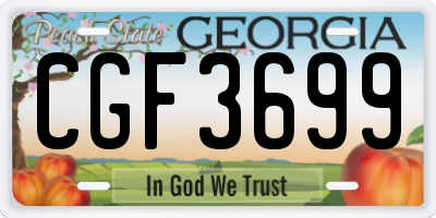 GA license plate CGF3699