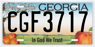 GA license plate CGF3717