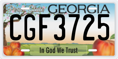 GA license plate CGF3725