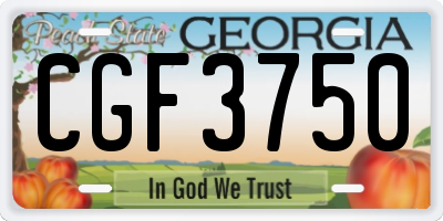 GA license plate CGF3750
