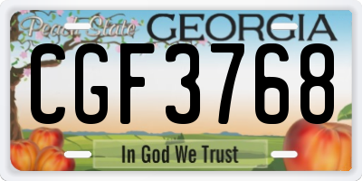 GA license plate CGF3768