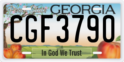GA license plate CGF3790