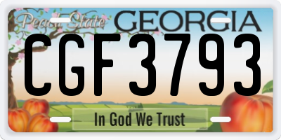 GA license plate CGF3793