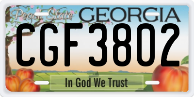 GA license plate CGF3802