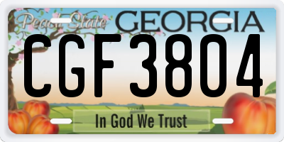 GA license plate CGF3804