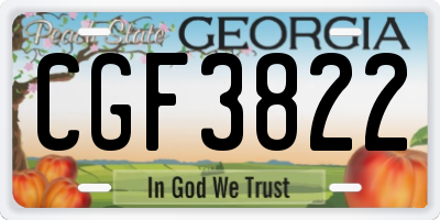 GA license plate CGF3822