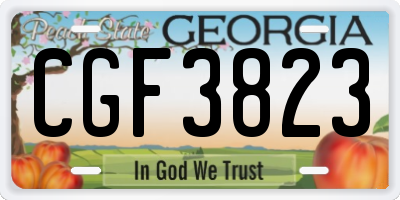 GA license plate CGF3823