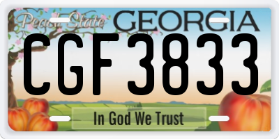 GA license plate CGF3833