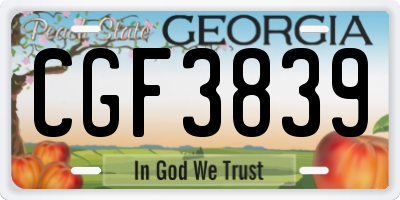 GA license plate CGF3839