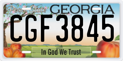 GA license plate CGF3845