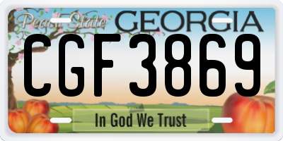 GA license plate CGF3869