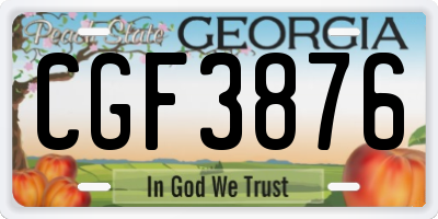 GA license plate CGF3876