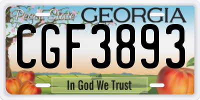 GA license plate CGF3893