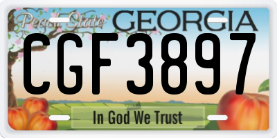 GA license plate CGF3897