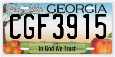 GA license plate CGF3915