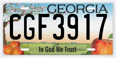 GA license plate CGF3917