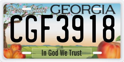 GA license plate CGF3918