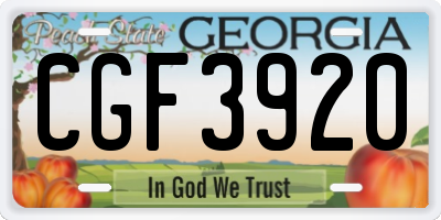 GA license plate CGF3920